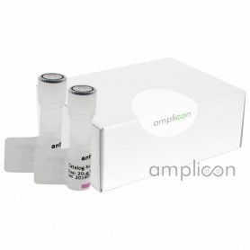 Andy Fluor™ 488 Annexin V and PI Apoptosis Kit